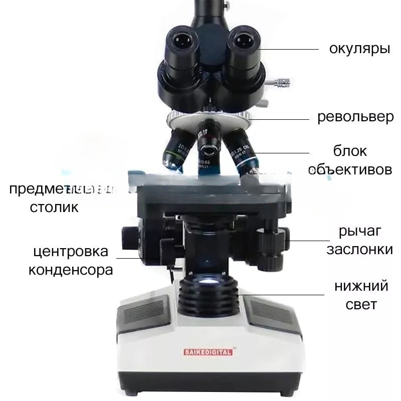 Фото Лабораторный микроскоп Saike Digital SK2009HDMI-T (c НДС 20%)
